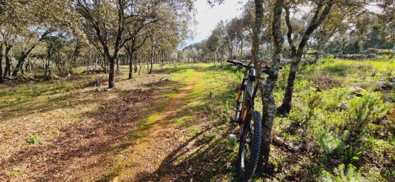 Fátima: Jurassic E-bike Tour - Pricing and Booking