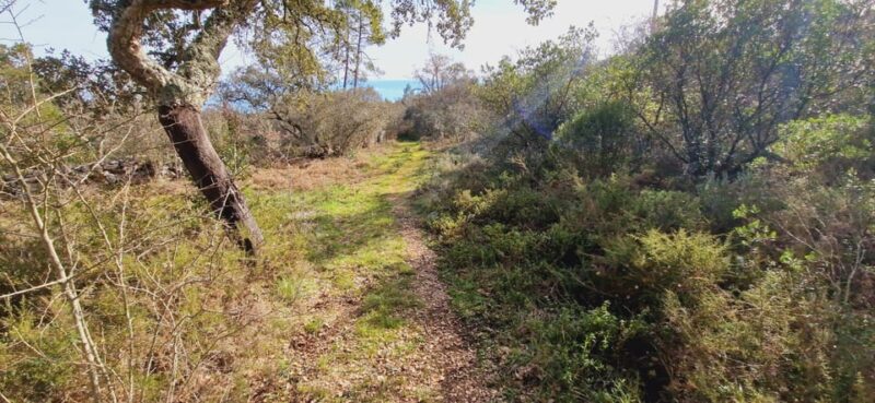 Fátima: Jurassic E-bike Tour - Itinerary and Highlights