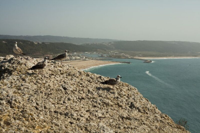 Fatima, Nazaré and Óbidos Full-Day Tour - Key Points