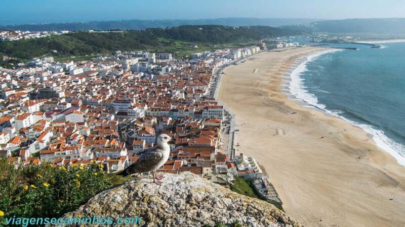 Fatima / Nazare / Obidos - Transportation and Accessibility