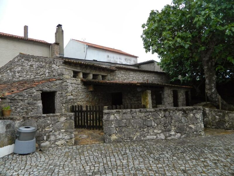 Fatima Spiritual Full Day Private Tour From Lisbon - Spiritual and Cultural Journey