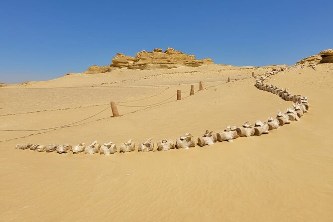 Fayoum Adventure: Whales Valley,4x4 Desert Safari & Wadi Rayan - Tour Operator and Ratings