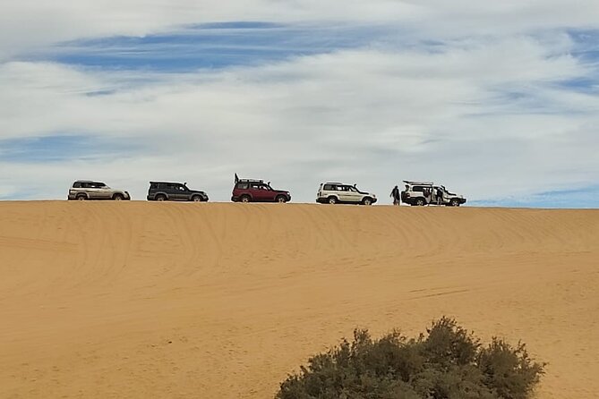 Fayoum Oasis Tour Explore Valley of the Whales and Water Falls - Tour Accessibility
