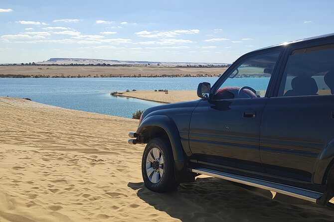 Fayoum Oasis Tour Explore Valley of the Whales and Water Falls - Valley of The Whales