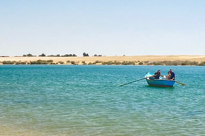 Fayoum Oasis Tour Explore Valley of the Whales and Water Falls - Fayoum Oasis