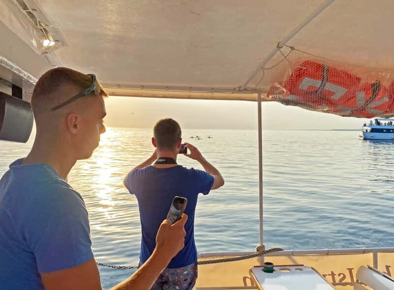 Fazana: Dolphin Finder in Brijuni Islands Safari With Dinner - Additional Tips for Your Visit