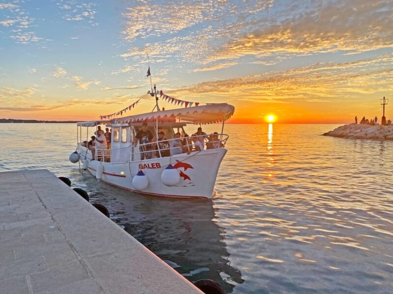 Fazana: Dolphin Finder in Brijuni Islands Safari With Dinner - Since Your Asked