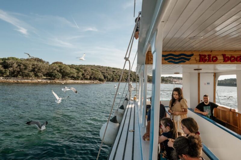 Fažana: Dolphin Safari Private Tour - Pricing and Availability