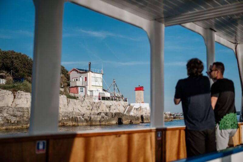 Fažana: Dolphin Safari Private Tour - Highlights of the Experience