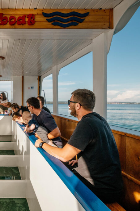 Fažana: Dolphin Safari Private Tour - Exploring Brijuni Islands