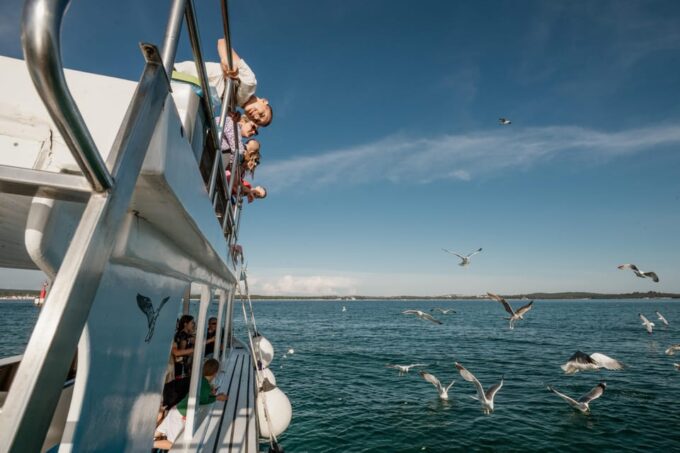 Fažana: Dolphin Safari Private Tour - Frequently Asked Questions