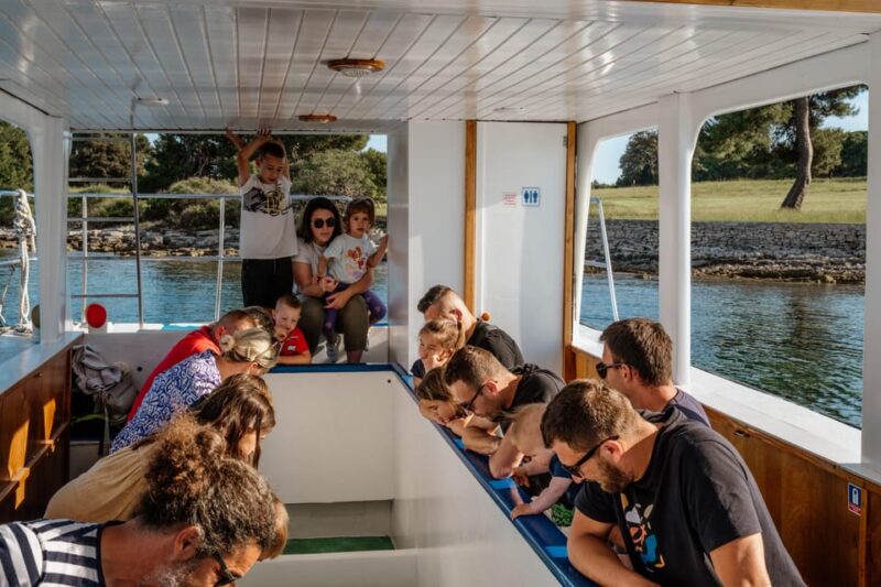 FAŽANA: DOLPHIN SAFARI - Good To Know