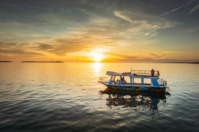 FAŽANA: DOLPHIN SAFARI - Customer Reviews