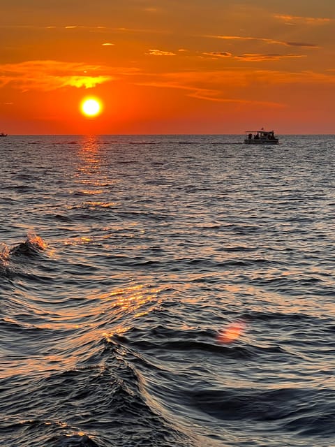 Fažana: Dolphin & Sunset - Getting to the Meeting Point