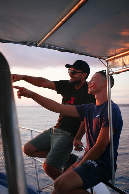 Fazana: Dolphin/Sunset Tour - Good To Know