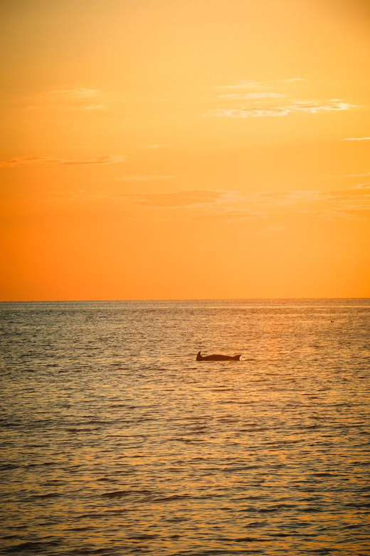 Fazana: Dolphin/Sunset Tour - Prohibited Items
