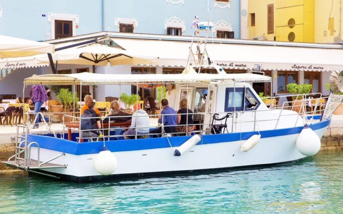 Fazana: Dolphin/Sunset Tour - Dolphin Conservation Efforts
