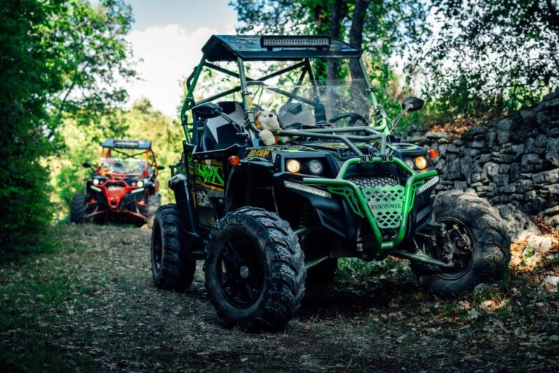 Fažana: Guided Buggy Tour in the Heart of Istria - Good To Know