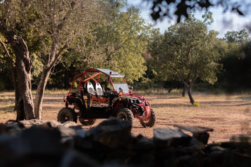 Fažana: Guided Buggy Tour in the Heart of Istria - Participant Requirements