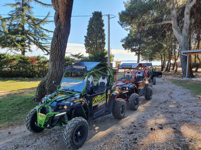 Fažana: Guided Buggy Tour in the Heart of Istria - Customer Feedback