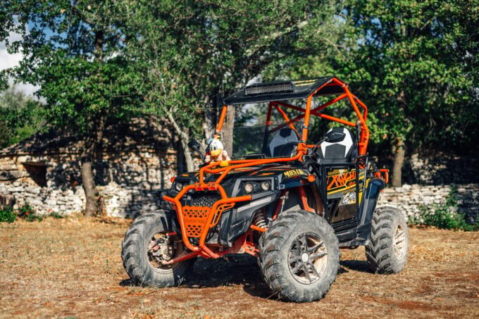 Fažana: Guided Buggy Tour in the Heart of Istria - Guide Availability