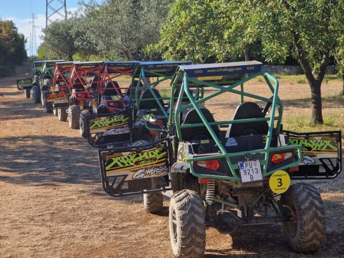 Fažana: Guided Buggy Tour in the Heart of Istria - Frequently Asked Questions