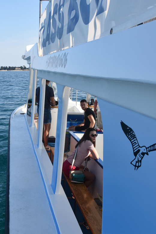 FAŽANA: HALF DAY SWIMMING AND SNORKELING IN FAŽANA - Highlights