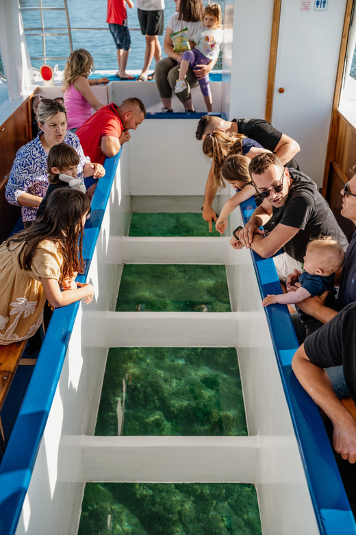 Fazana: National Park Brijuni Glass Boat Tour - Activity Highlights