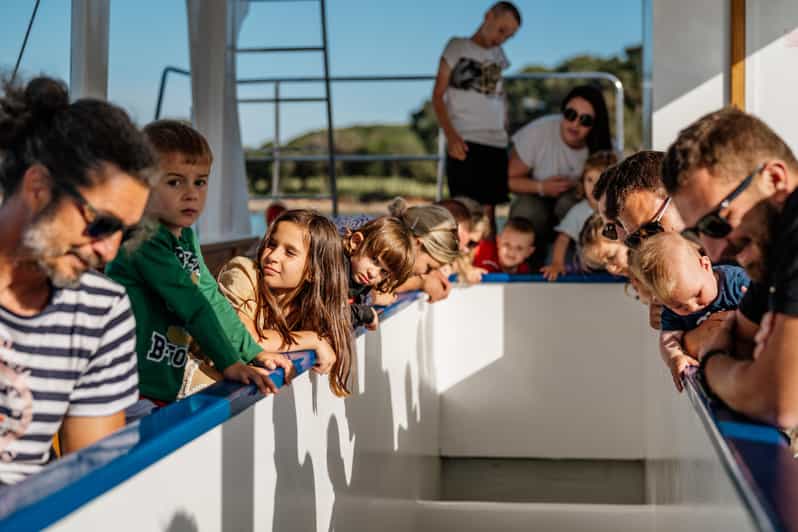 Fazana: National Park Brijuni Glass Boat Tour - Itinerary Details