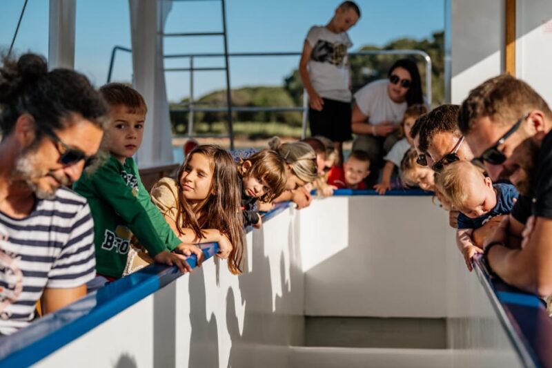 Fazana: National Park Brijuni Glass Boat Tour - Departure and Stops