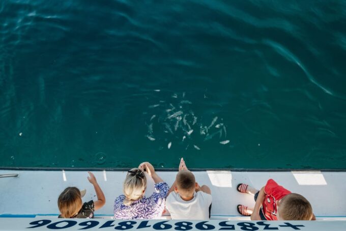 Fazana: National Park Brijuni Glass Boat Tour - Accessibility Information