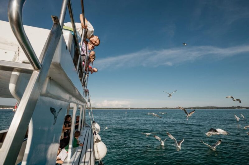 Fažana: Private Glass Boat Tour of Brijuni National Park - Tour Highlights