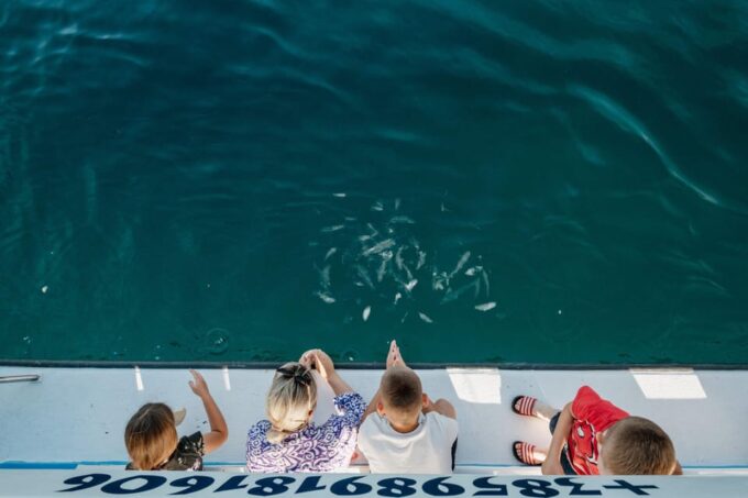 Fažana: Private Glass Boat Tour of Brijuni National Park - Swimming and Dining
