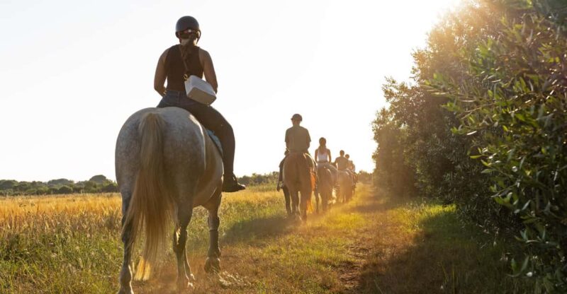 Fazana: Suneset 1-Hour Horse Riding in Nature With Guide - Good To Know