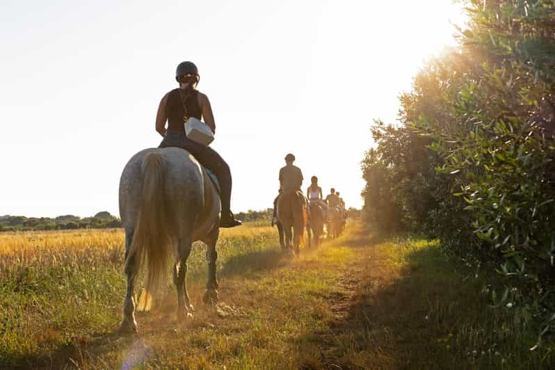 Fazana: Suneset 1-Hour Horse Riding in Nature With Guide - Suitable for All Experience Levels