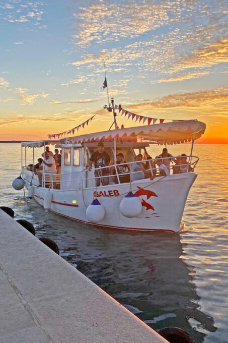 Fazana: Sunset Dolphin Cruise in Brijuni Park - Tour Duration and Weather Conditions