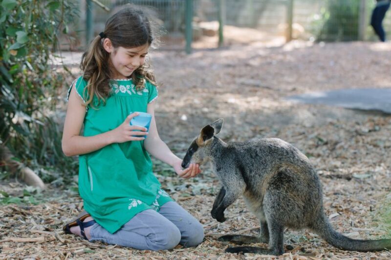 Featherdale Wildlife Park General Entry Ticket - Key Points
