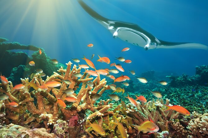 Feejee Five - 10 Days Island Hopping - Fiji Museum Tour