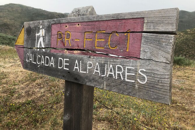 Feel Douro Tour - Exploring the Douro Region