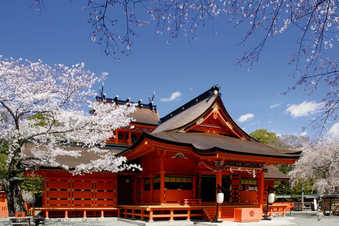Feel Mt Fuji and Sake Tasting Private Tour From Shin Fuji Station - Tour Inclusions