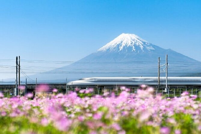 Feel Mt Fuji and Sake Tasting Private Tour From Shin Fuji Station - Booking and Cancellation Policy
