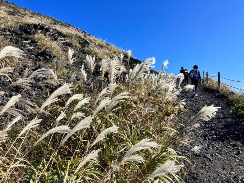 Feel the Volcano by Trekking at Mt.Mihara - Key Points