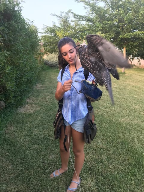 Felanitx, Mallorca: Experience With Falcons With Aperitif - Birds of Prey and Characteristics