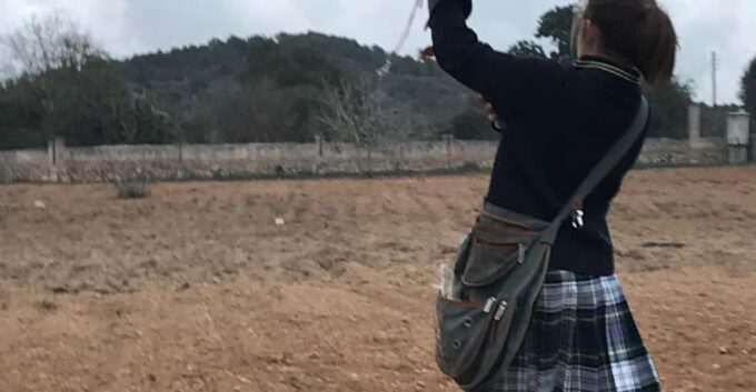 Felanitx, Mallorca: Experience With Falcons With Aperitif - Relaxed Talk and Aperitif