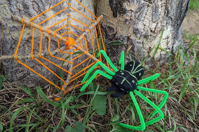 Felted Halloween Spider Art Class in Estes Park - Supplies and Materials Provided