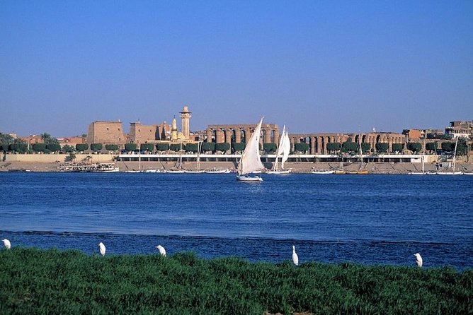 Felucca in Luxor Amazing Sunset Sailing {Private} 2 Hours - Accessibility and Recommendations