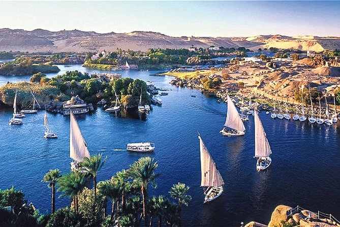 Felucca Ride on The Nile River and 4 Stars Dinner Cruise - Dinner Cruise Highlights