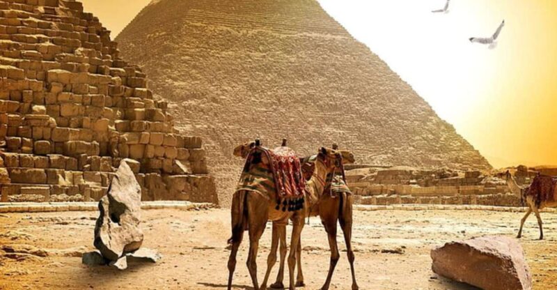Female Guided-Pyramids, Memphis, and Sakkara Day Trip - Guided Experience