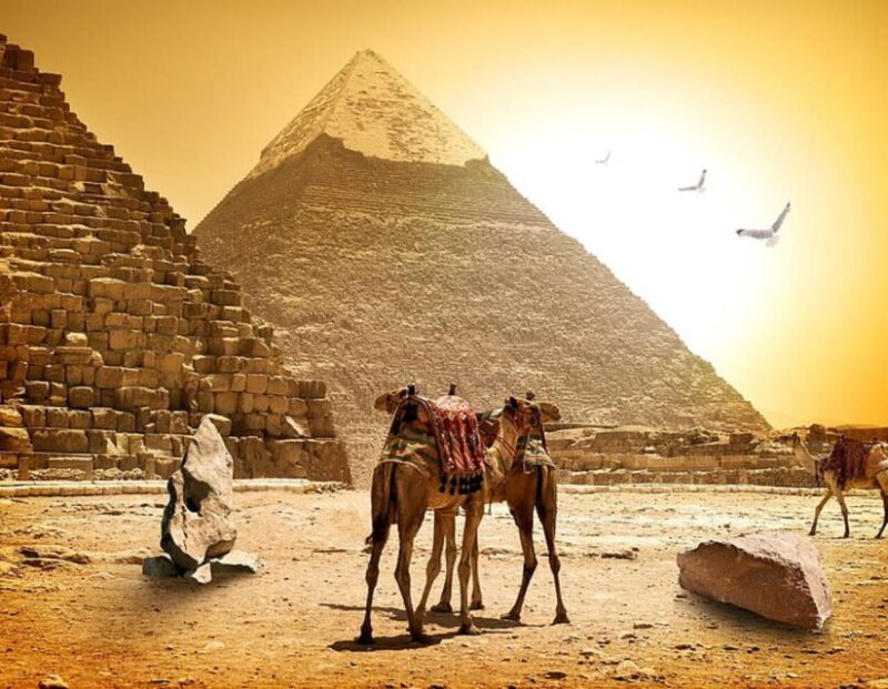 Female Guided-Pyramids, Memphis, and Sakkara Day Trip - Pricing and Availability