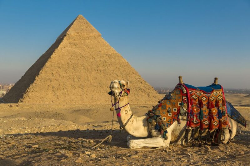 Female Guided Pyramids, Sphinx and Grand Egyptian Museum - Tour Highlights